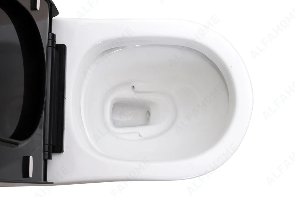 Alfa Premium One Piece Toilet Commode With Soft Closing Toilet Seat - S Trap Outlet (White & Black Line) 1001