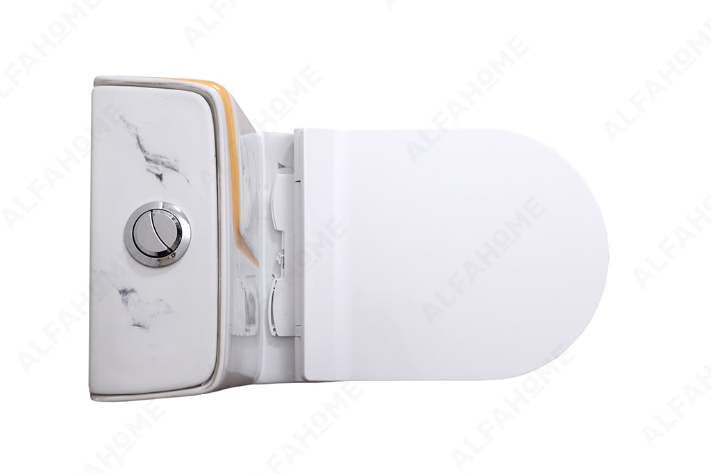 Alfa Premium One Piece Toilet Commode With Soft Closing Toilet Seat - S Trap Outlet (White Sataurio + Yellow ) 1008