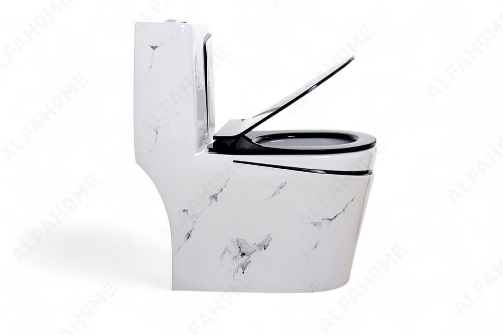 Alfa Premium One Piece Toilet Commode With Soft Closing Toilet Seat - S Trap Outlet (Black & White) 1007