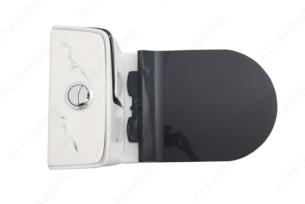 Alfa Premium One Piece Toilet Commode With Soft Closing Toilet Seat - S Trap Outlet (Black & White) 1007